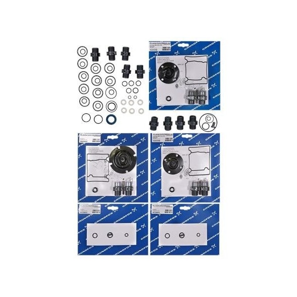 Pump Repair Parts- Kit, maint.ClO2/1300g/h/<3bar/>Jan.04, Dosing Pumps.